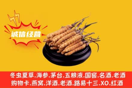 济南市回收冬虫夏草